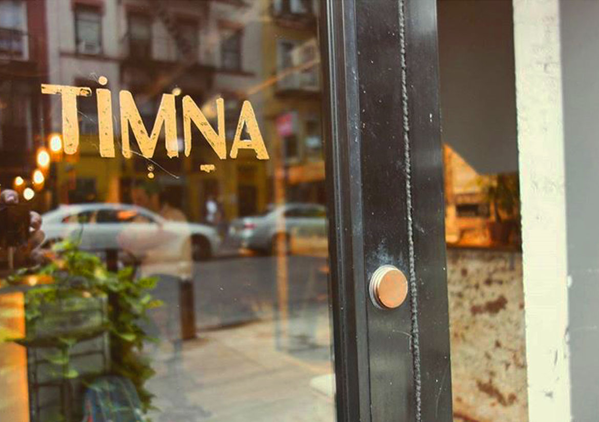 TimnaNYC_Branding_LogoDesign